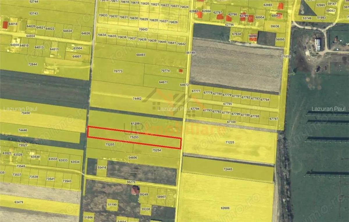 TEREN INTRAVILAN | 3837 mp | CIHEI | BIHOR - 4