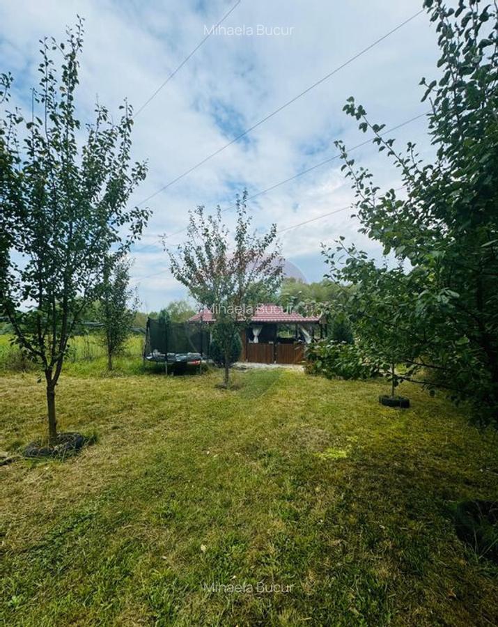 Teren Drumul Buzdului cu o cabana mica - 3