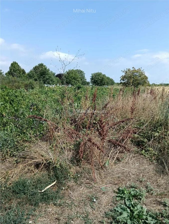 Terenuri intravilane--Mihailesti Giurgiu-Toate utilitatile-Asfalt - 3