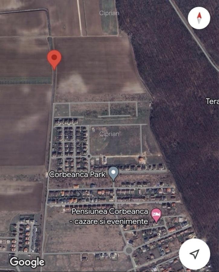 Teren intravilan langa padure Corbeanca Park - 8
