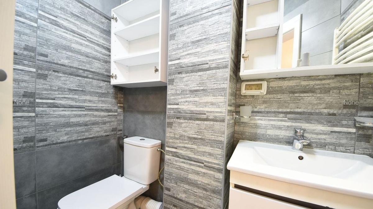 Apartament 3 camere spatios si luminos | Herastrau - 8