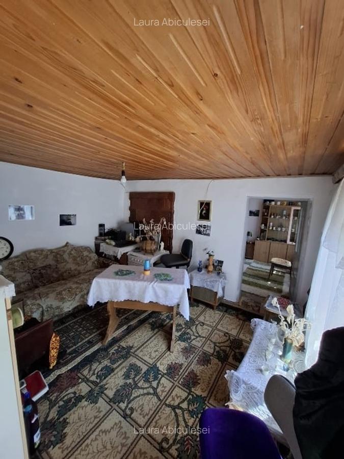 Casa 6 camere, Garaj , Teren 5000 MP - 15