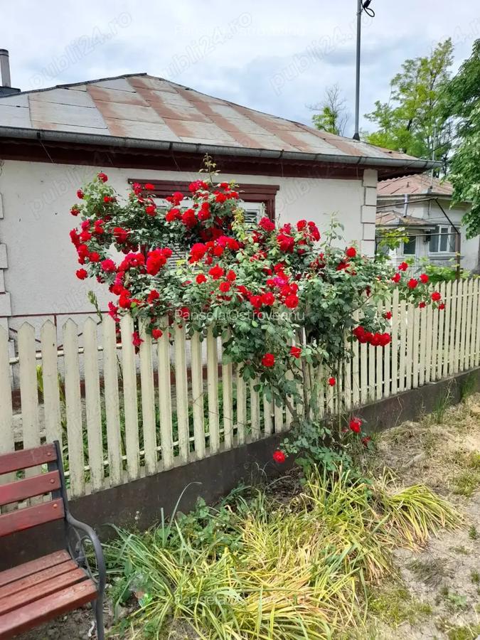 Casa de vanzare - 1