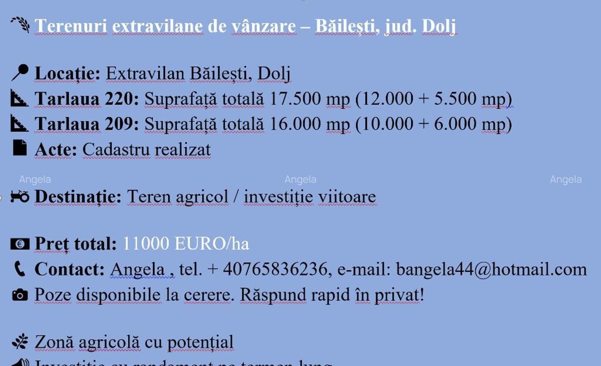 Terenuri extravilane Baile?ti 33.500 mp Acte la zi Pre? avantajos - 1