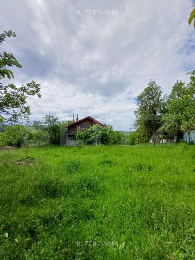 Casa 3 camere si teren 4873 mp  in Pietroasa, Moldovenești - 11