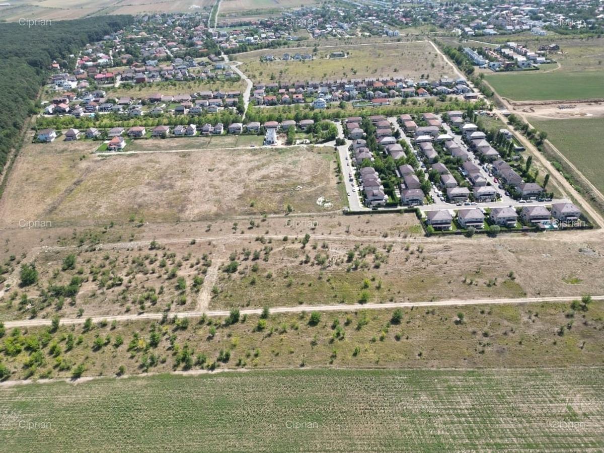 Teren intravilan langa padure Corbeanca Park - 4