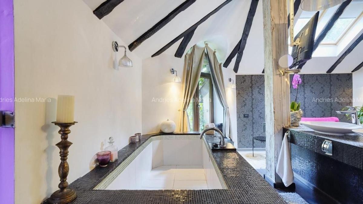 Hotel/Pensiune, 686 mp în Drumul Poienii - 10