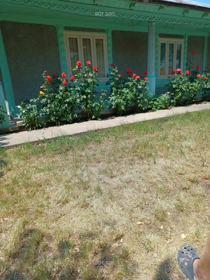 Vând casă comuna Cudalbi,județul Galați - 1