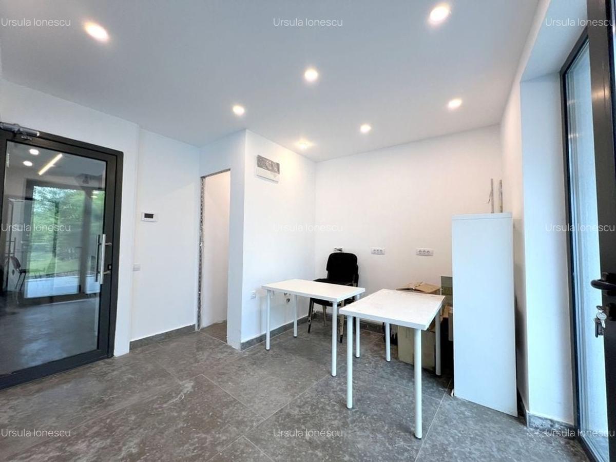 Spatiu ideal birou | parter cu terasa | Eminescu-Stefan cel Mare-Dacia - 5