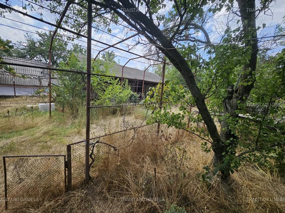 Gospodarie cu 2 case Comuna Trivale Mosteni, sat , la 30 km de Alexandria, jude?ul Teleorman - 9