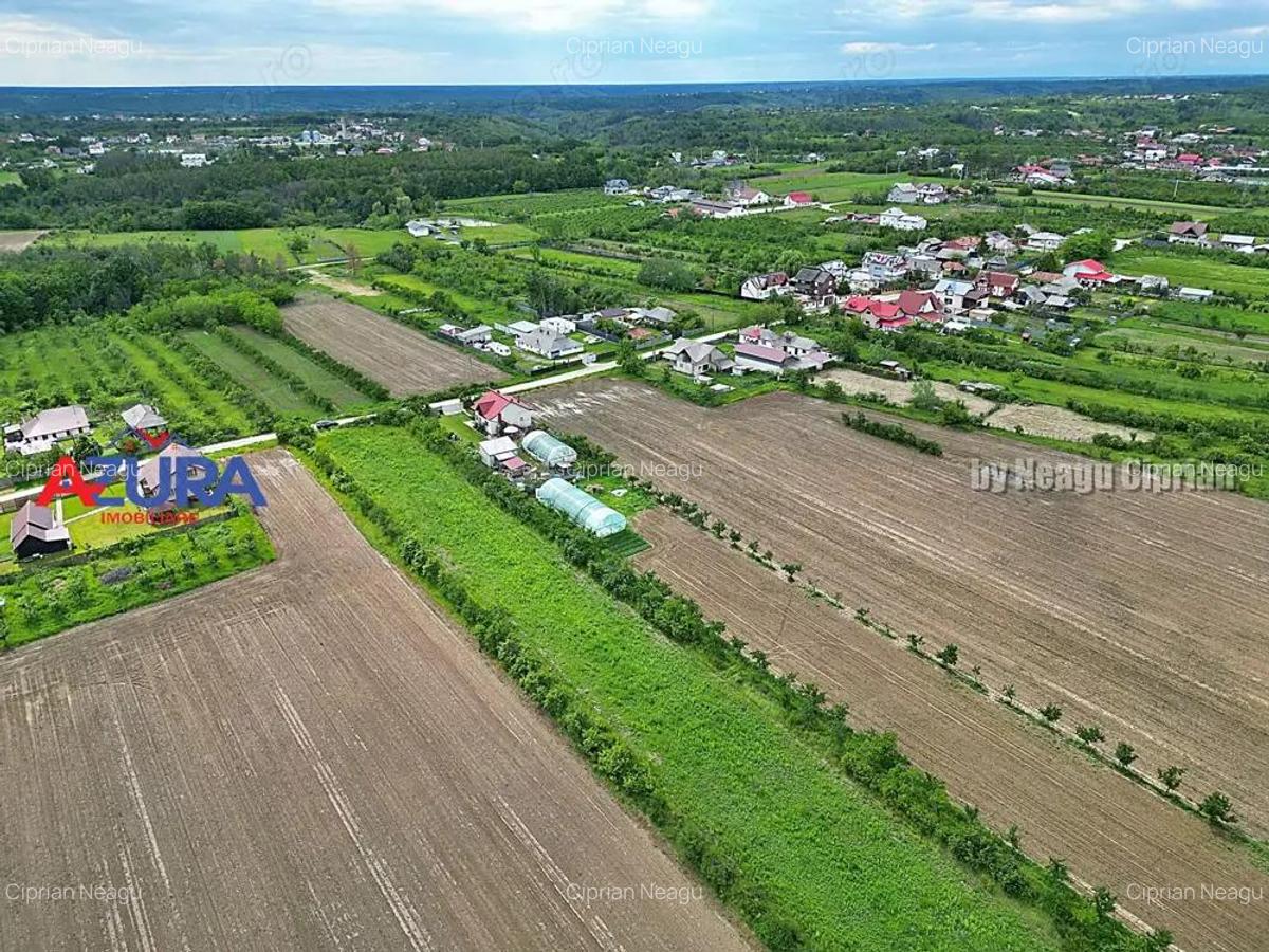 AZURA Imobiliare - Teren Mosoaia - 5