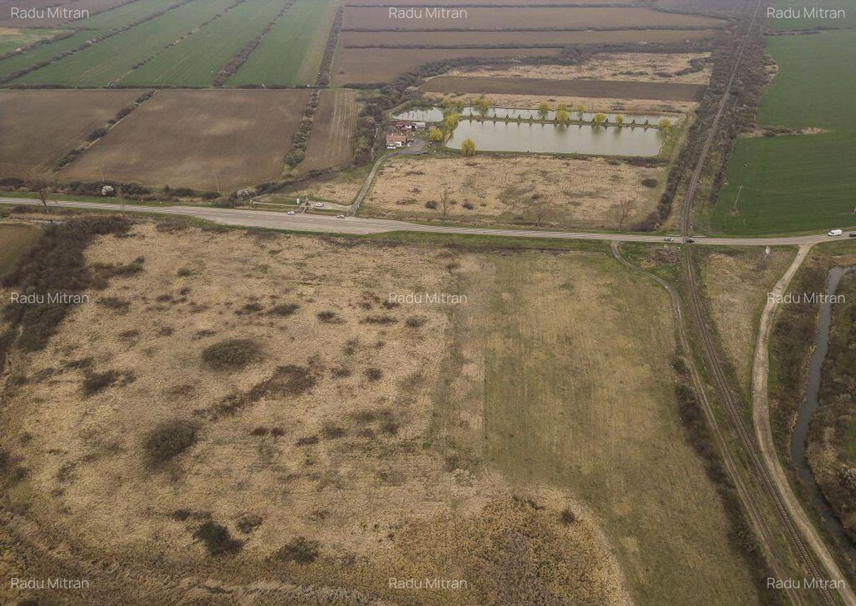 Teren extravilan in Ineu - 10