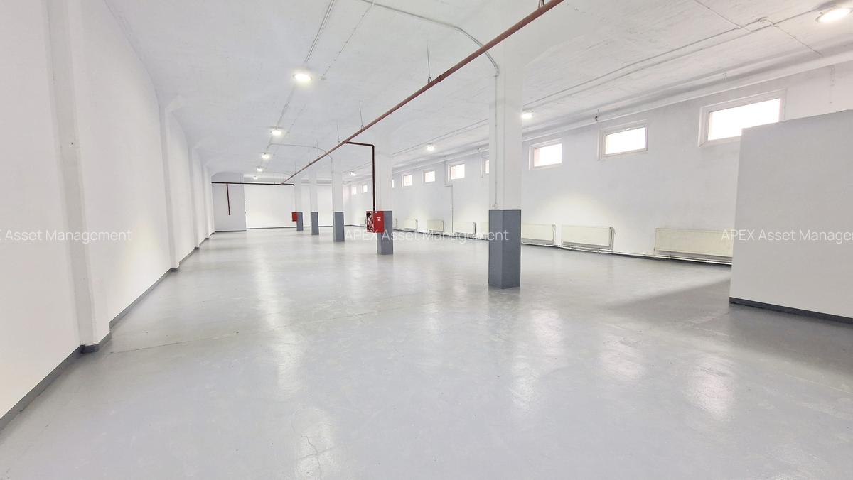 Spații multifuncționale – Depozitare / Producție ușoară / Logistica - 1
