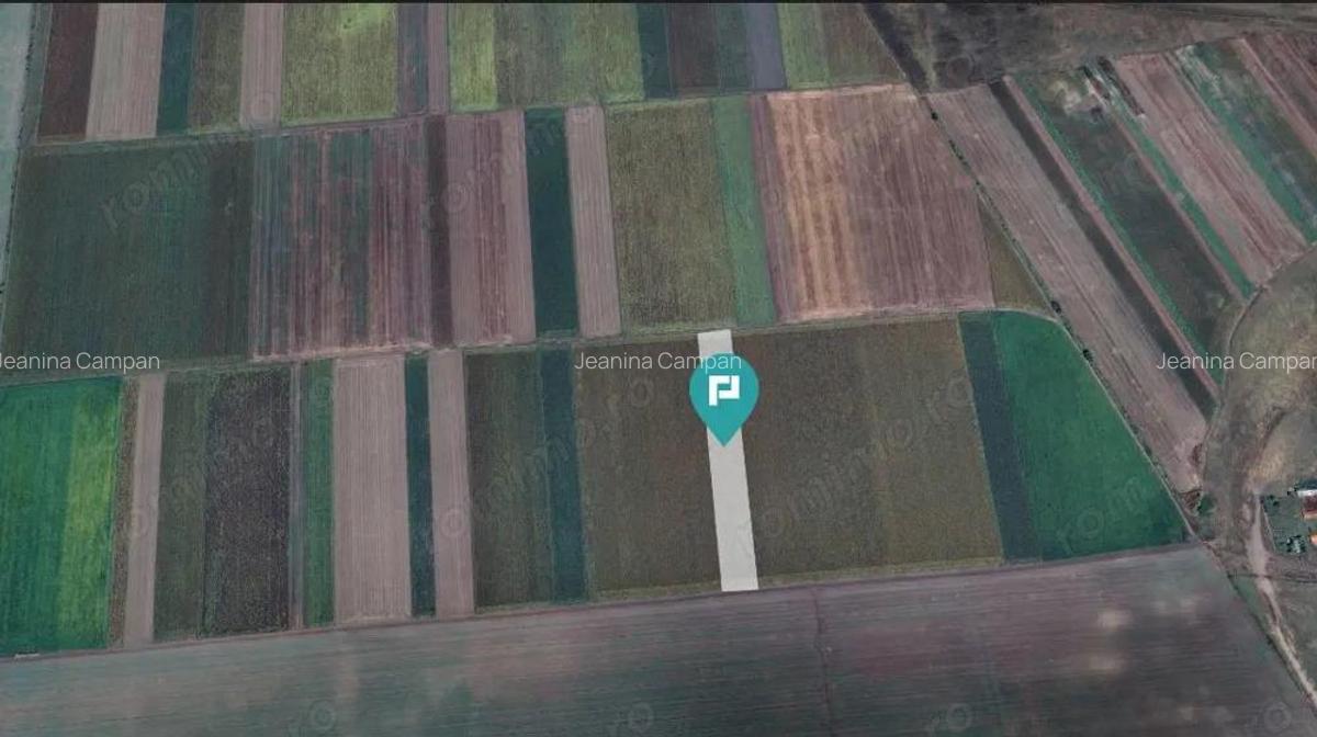 Teren extravilan de 14.500 mp in Caporal Alexa - 4