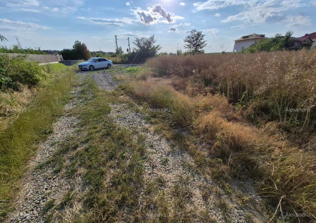 Teren ieftin la liziera padurii Balotesti, 350mp - 10