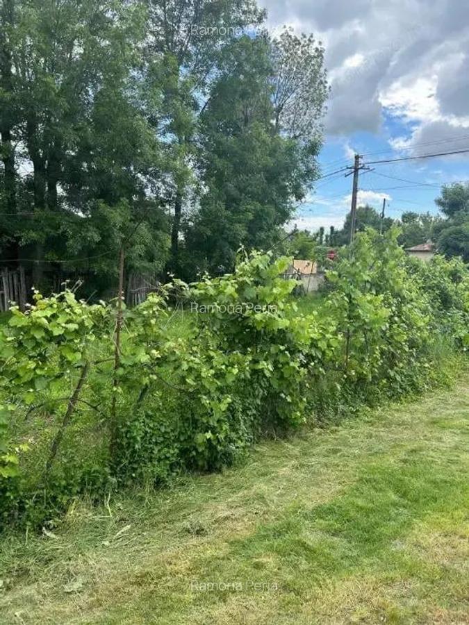 Casa Recea la doar 45 km de Pitesti - 3