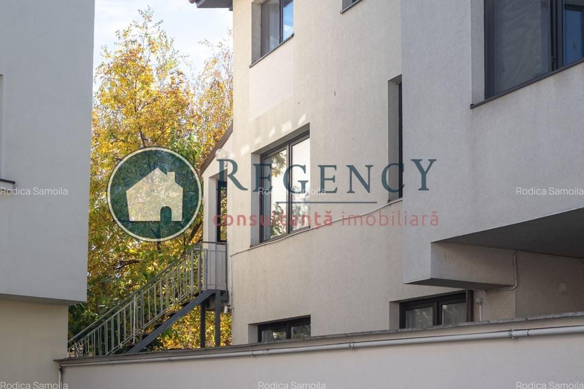 Proprietate versatila in zona Eminescu - Vasile Lascar - 6