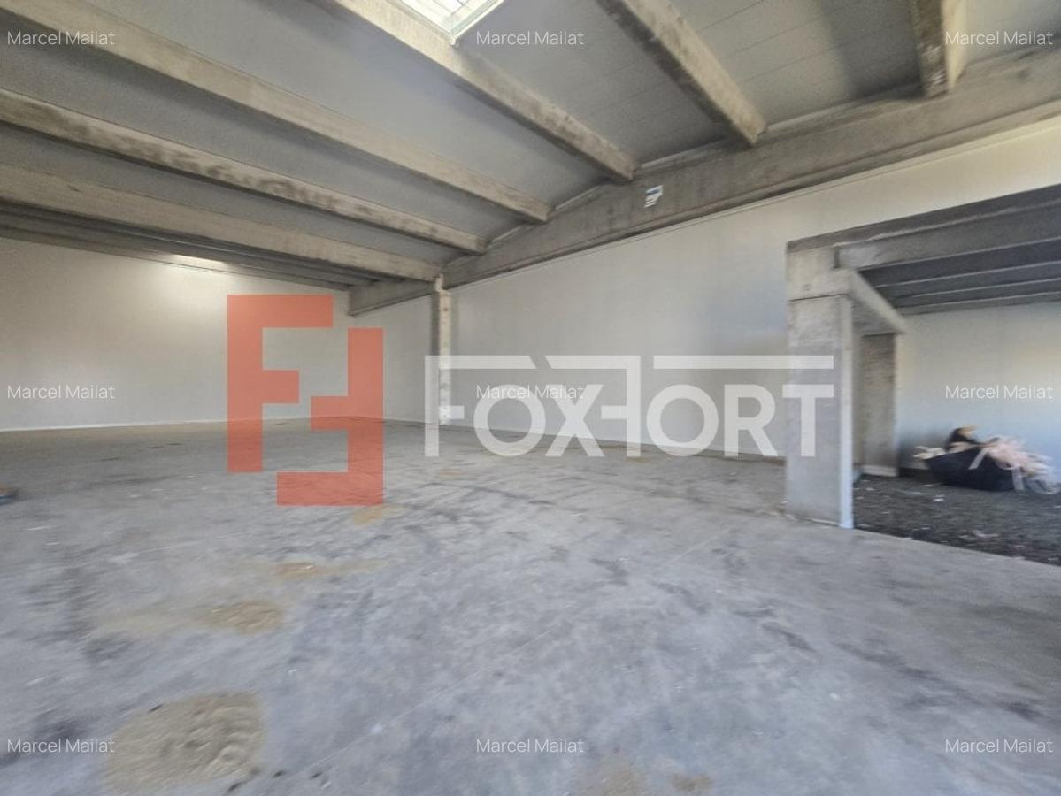 Spațiu industrial, 524 mp în Sânandrei - 3