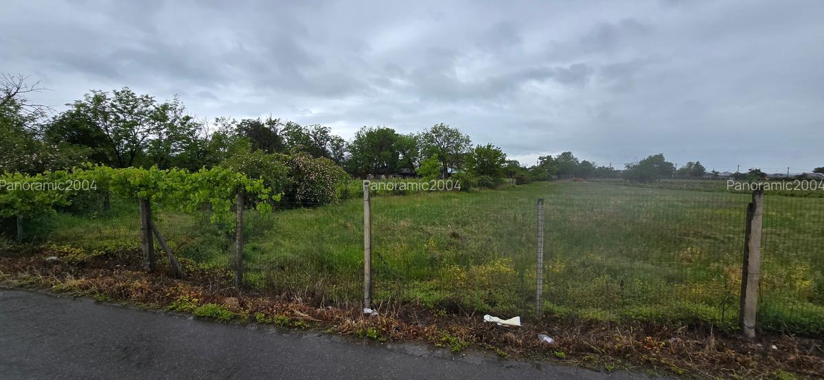 Casa si teren intravilan 4200 mp  Cotesti - 25