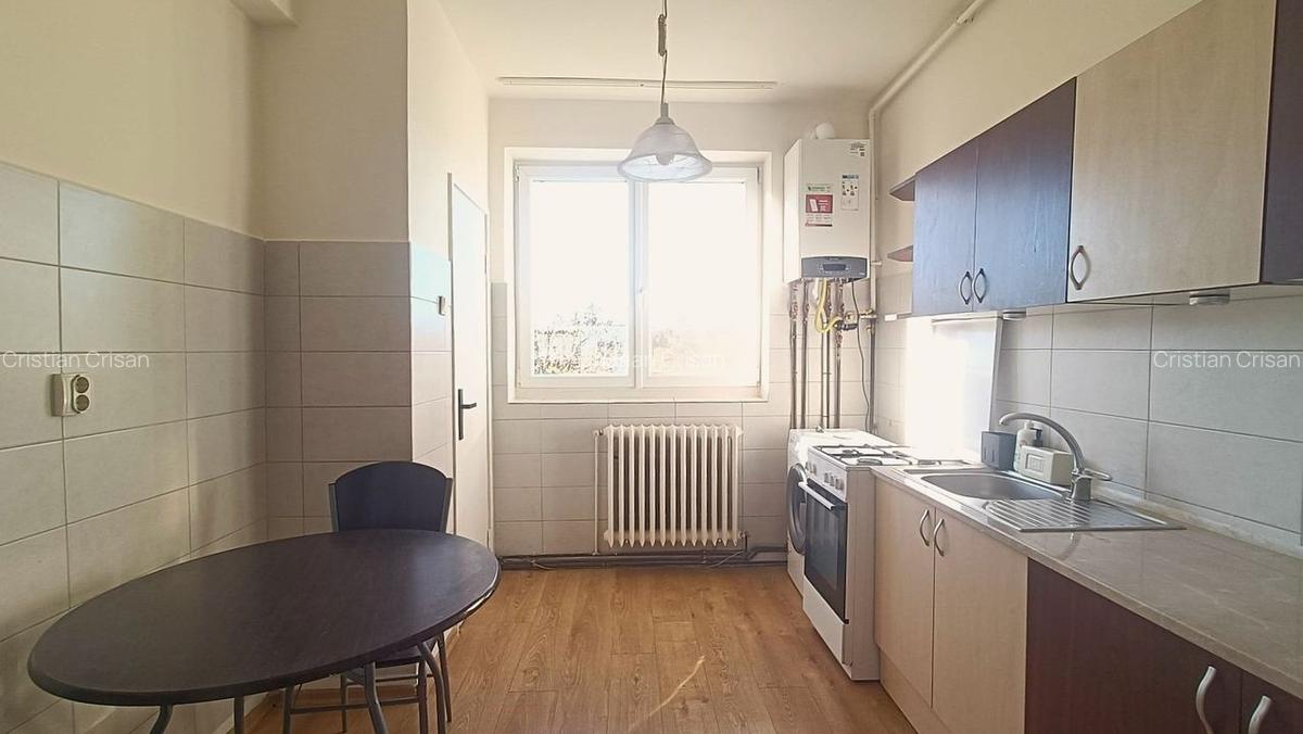 Apartament cu 2 dormitoare in Plopilor - 6