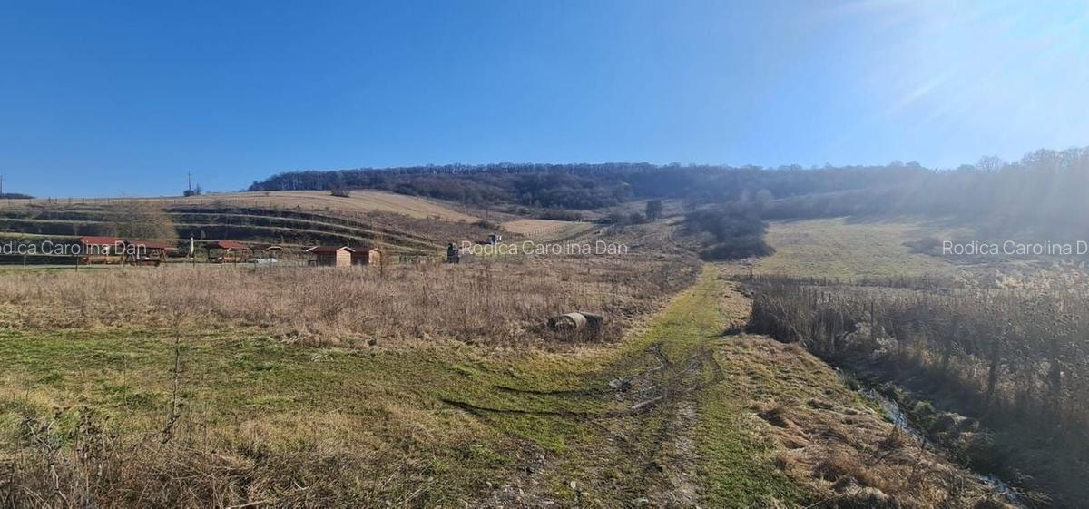 Teren intravilan de vânzare Ivanesti, Com Livezeni - 4