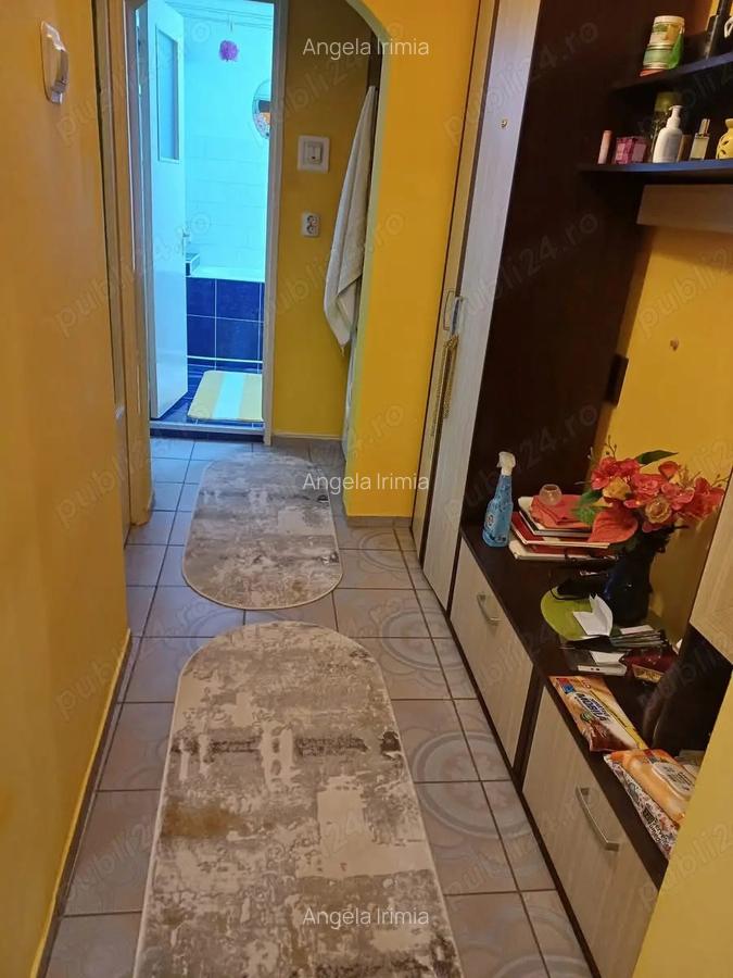 Gazda pentru o fata in Pscurari - 1