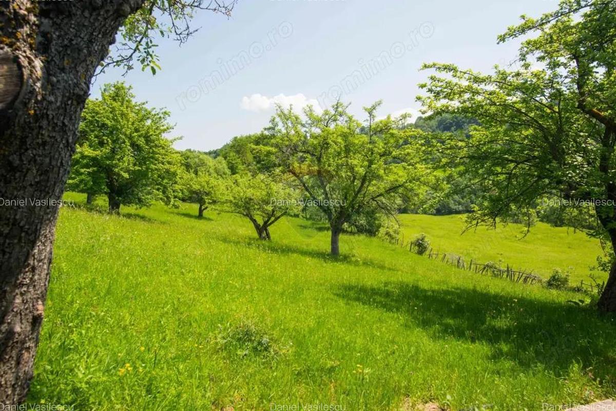 REZERVAT! Teren 5495mp, Bran Sohodol, priveliste deosebita, utilitati - 15