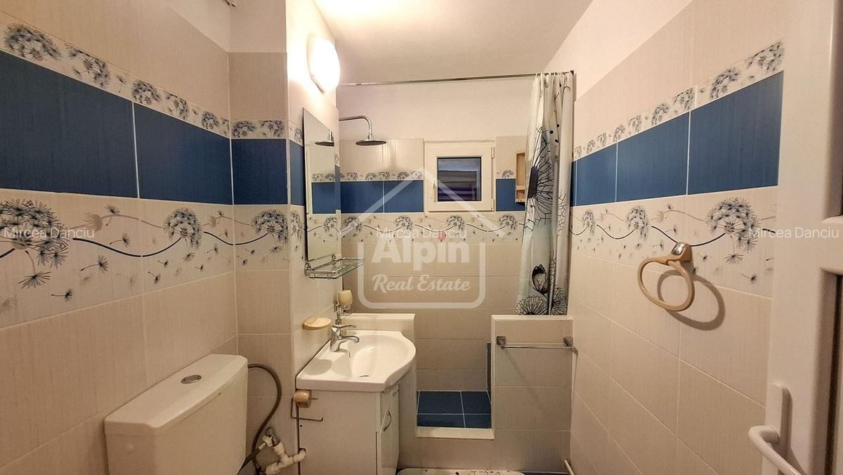 Suprafata Generoasa I Zona Gemenii - 4