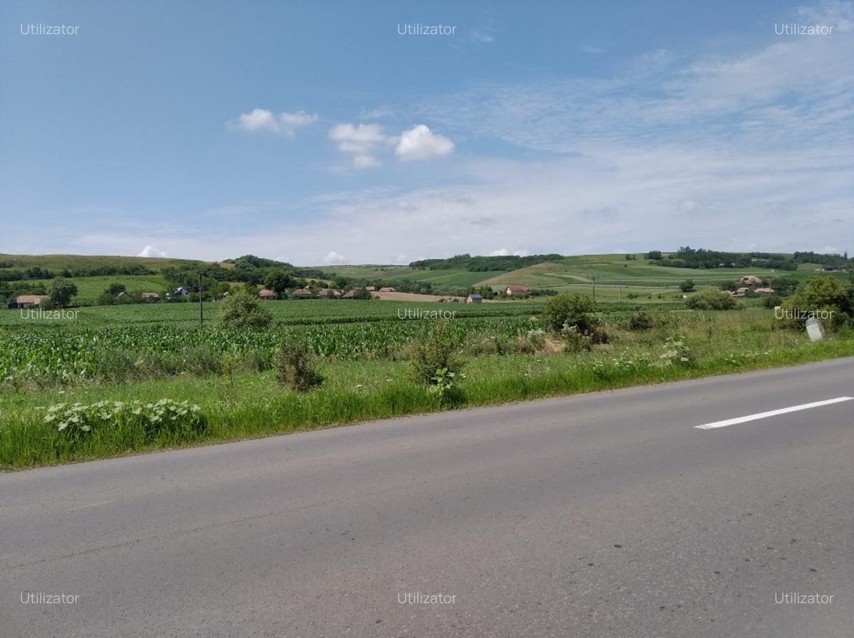 TEREN INTRAVILAN EXCEPTIONAL 6.600 MP LA MARGINEA SOSELEI ASFALTATE - IEFTIN ! - 5