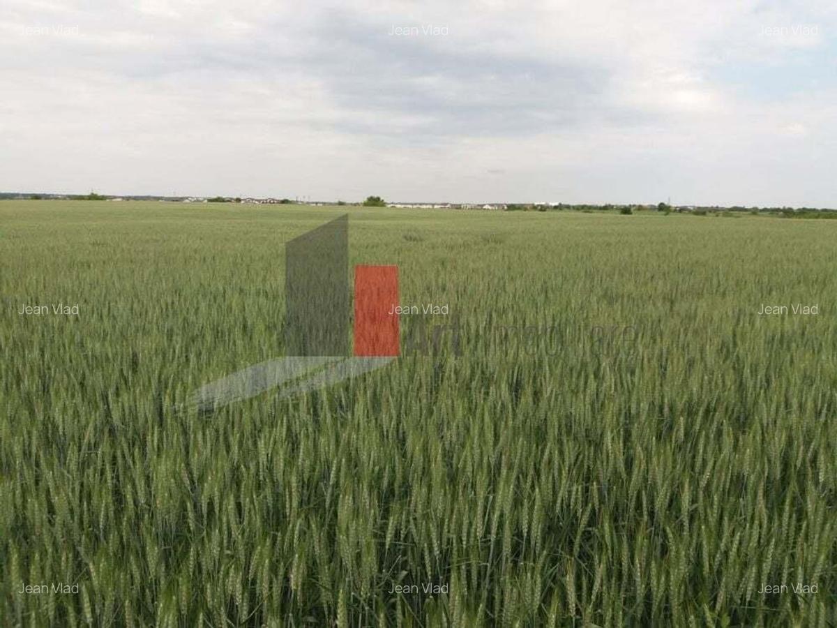 Teren Buftea cu iesire la lac - 8