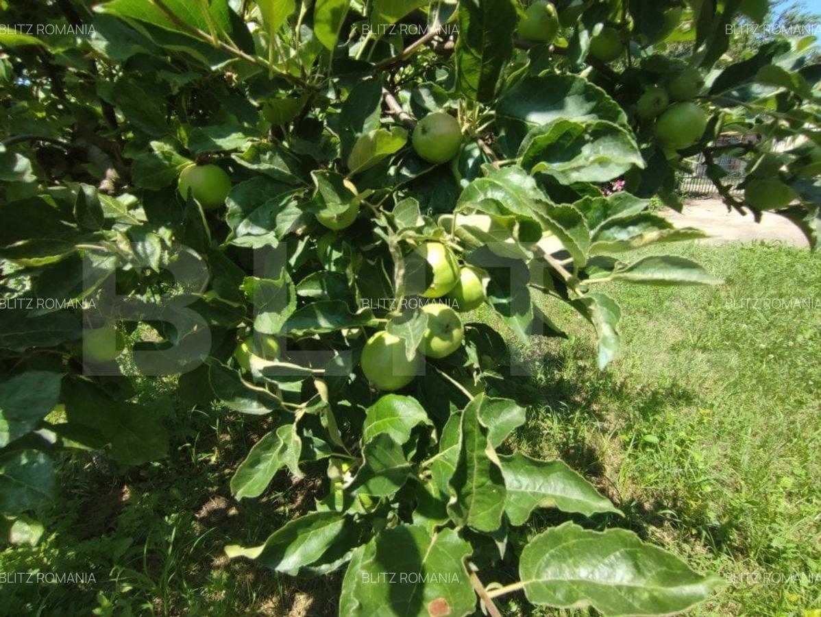 Casa individuala Catamarasti Deal, 7 camere, livada pe rod, 992mp! - 13