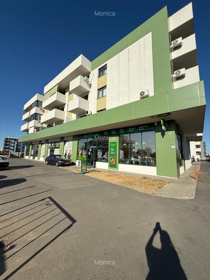 Apartament Pallady Gura Putinei - 31
