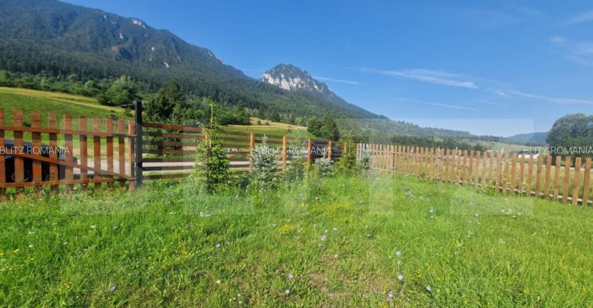 Teren Plaiul Foii, vedere spre muntii Bucegi si apa Barsa 10 - 6