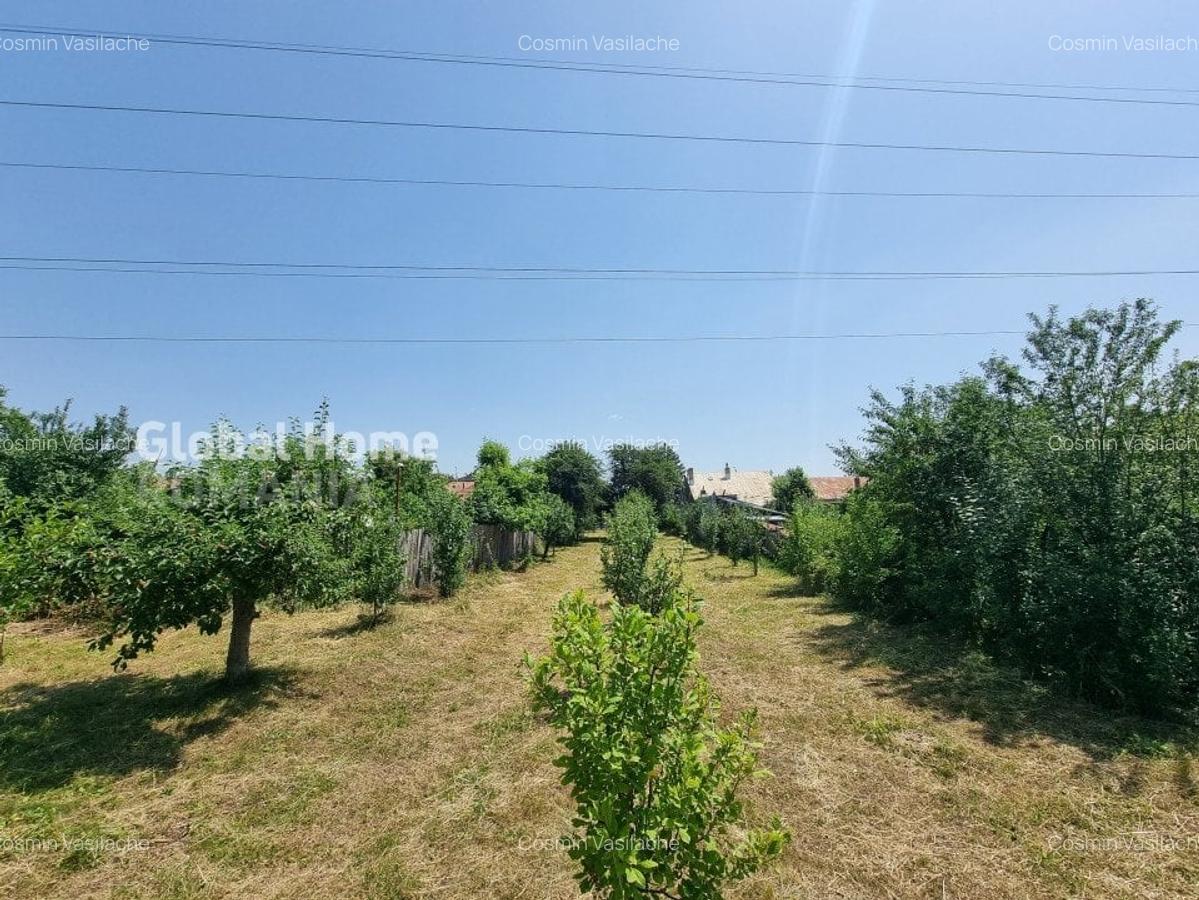 1000MP Teren Intravilan | Prahova - Cornu De Jos | Toate Utilitatile Prezente - 2