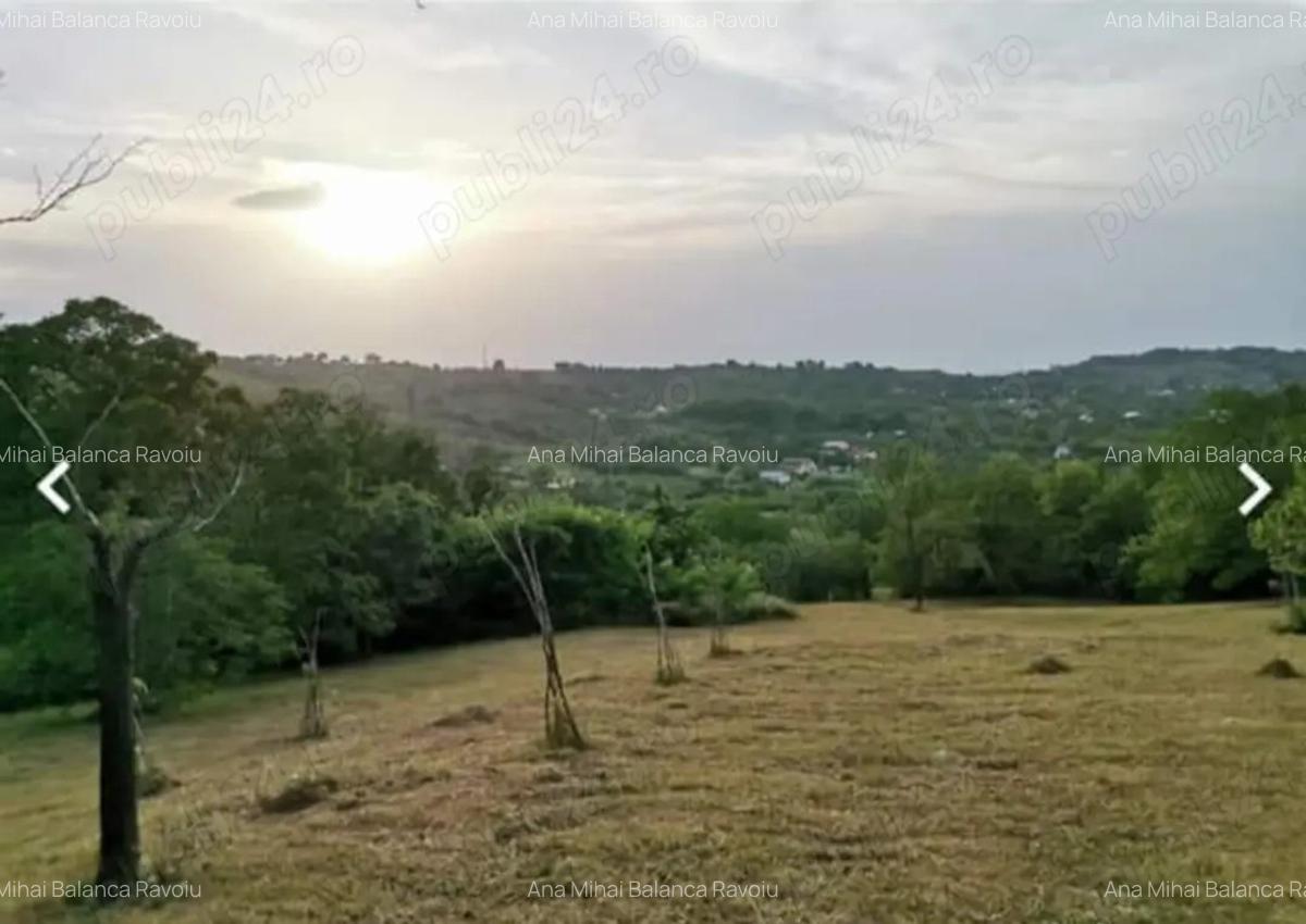 2 Casa padure + 4800 teren langa Focsani - 1