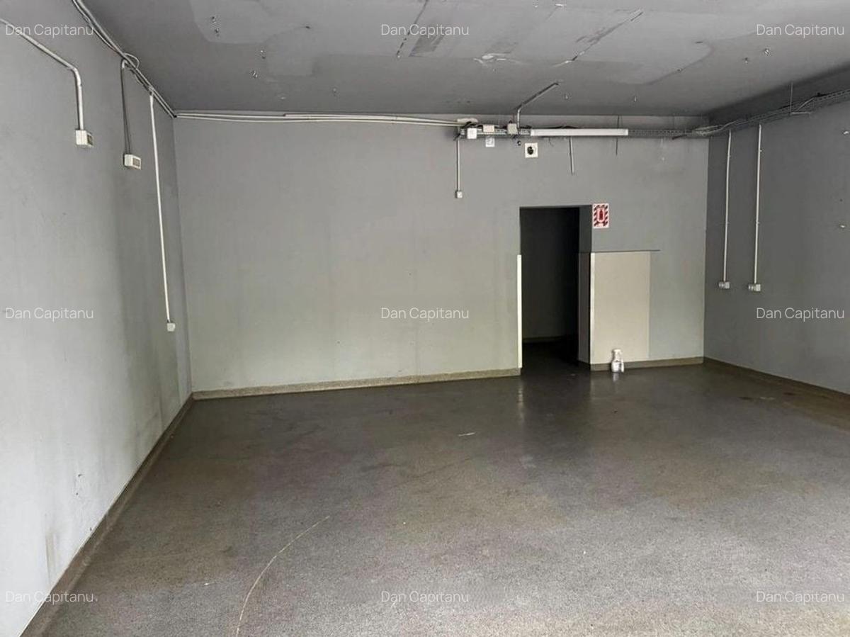 Zona Camil Ressu, Nicolae Grigorescu, Pallady - 2