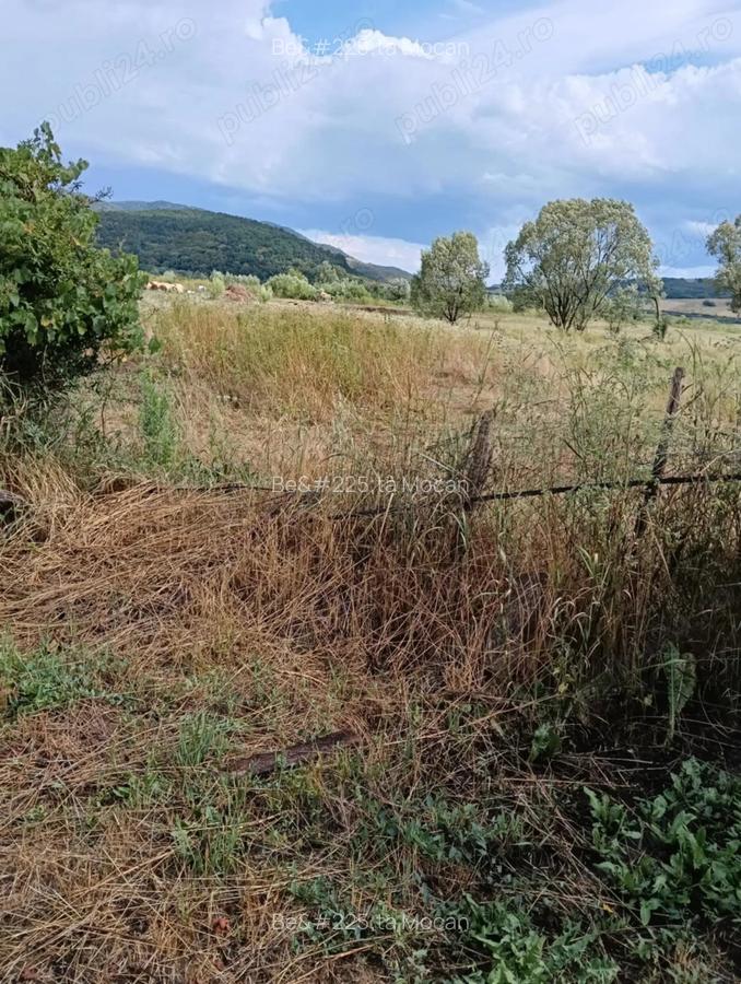 Vand Casa situat in Uleacu ?imleului - 8