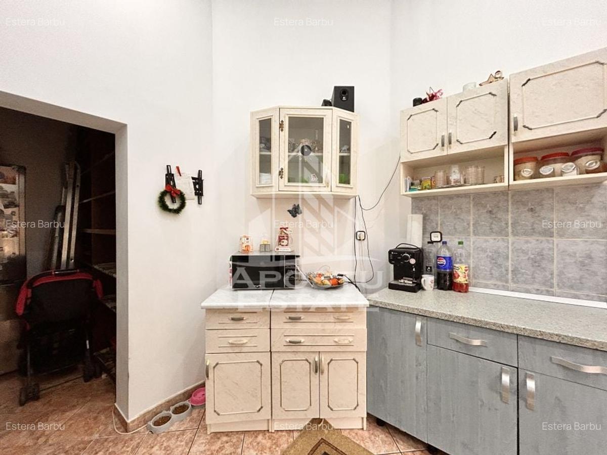 Apartament cu 2 camere nedecomandat, mobilat în Iosefin - 6