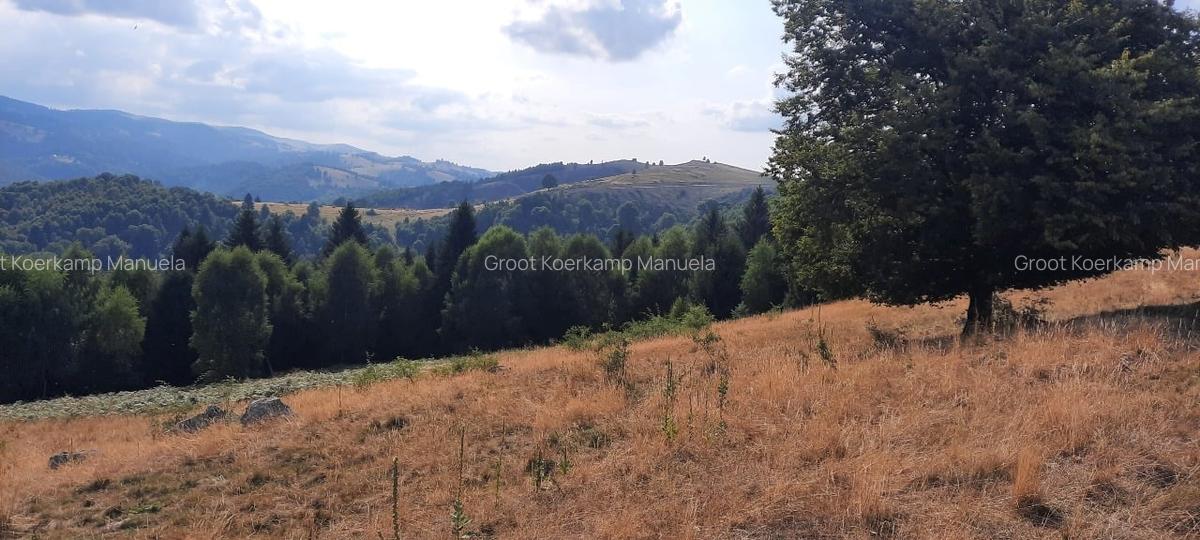 Teren montan, 19.593mp, 32.000 euro , zona Saliste-Crint,  priveliste frumoasa - 1