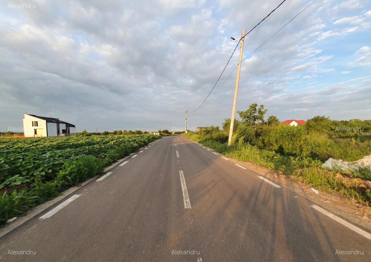 Lot teren Balotesti,langa case noi-50 m de asfalt 600mp - 10