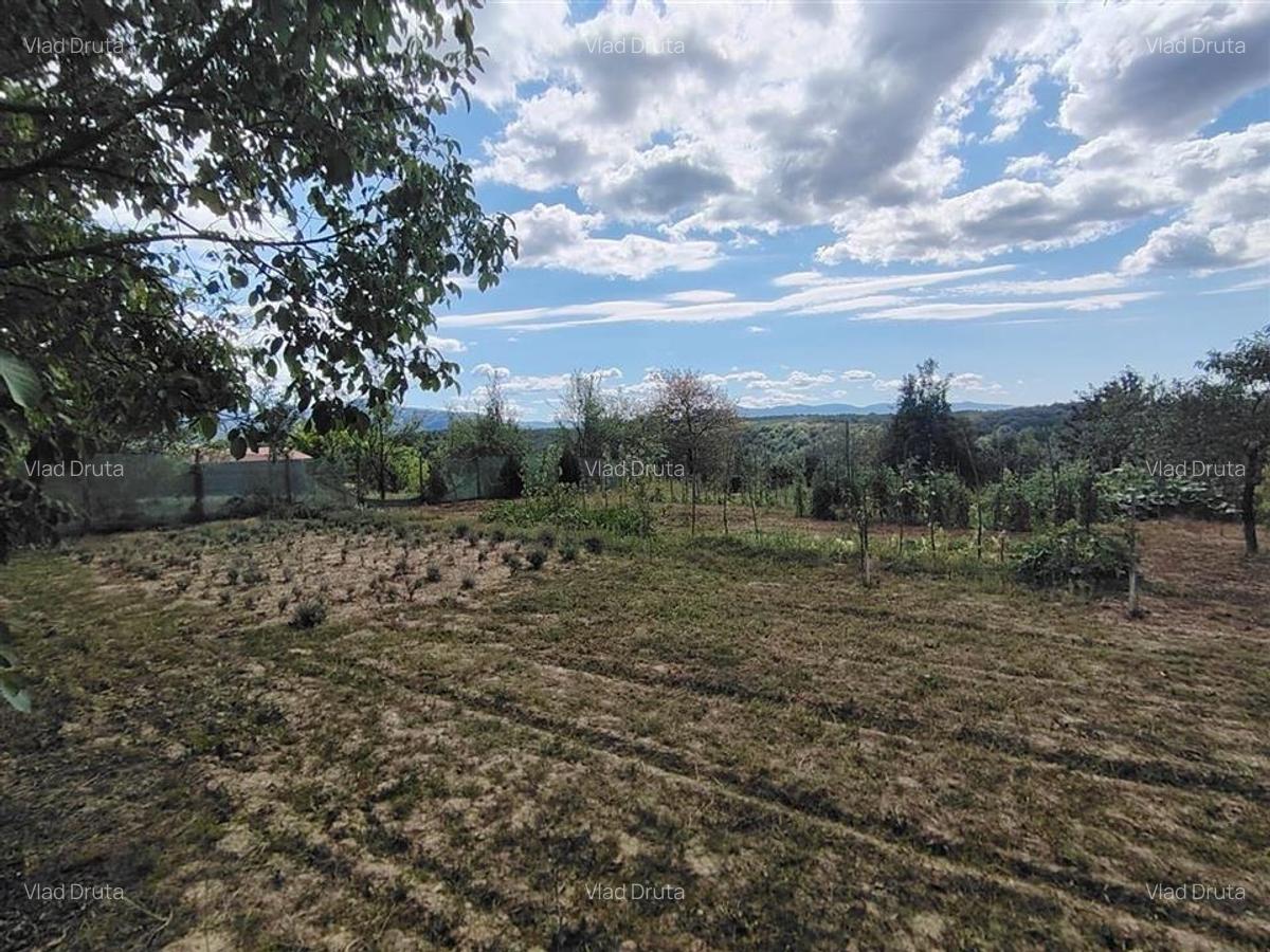 RECO teren intravilan in Saliste de Beius - 2