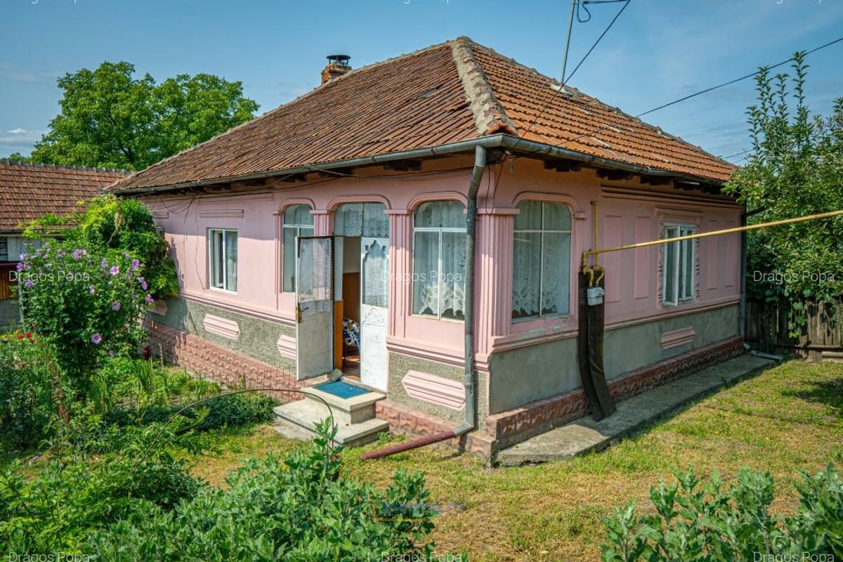 O casa, un teren, mai multe optiuni - Comanesti, Str. Moldovei - 1