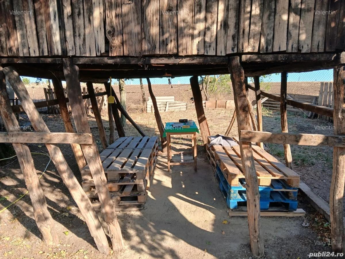 Casa la tara sat Silistea com Vitanesti - 4