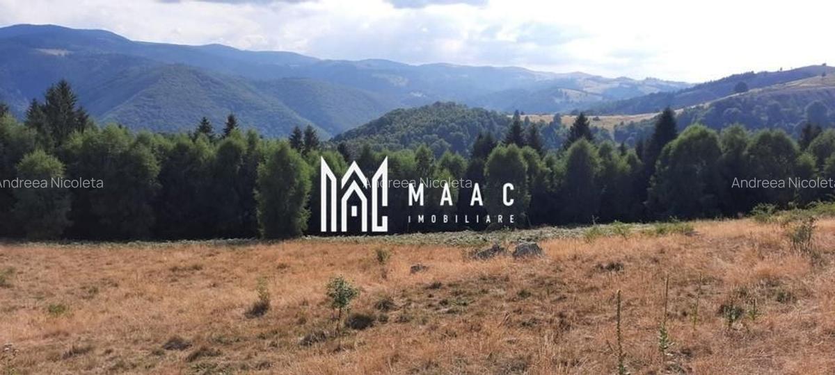 Teren Extravilan | 19.593 MP | Zona Saliste - 2