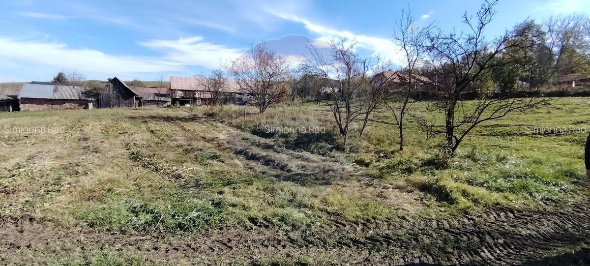 Teren intravilan de vanzare 3,798mp Str.Floreasca - Agnita - 5