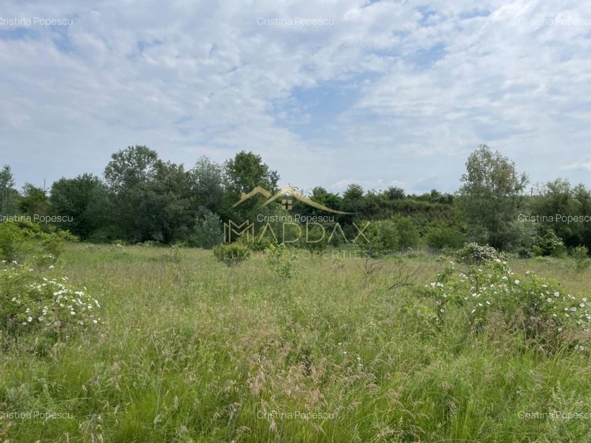 Teren intravilan***1439 mp***Cretesti-Vidra-Ilfov - 13