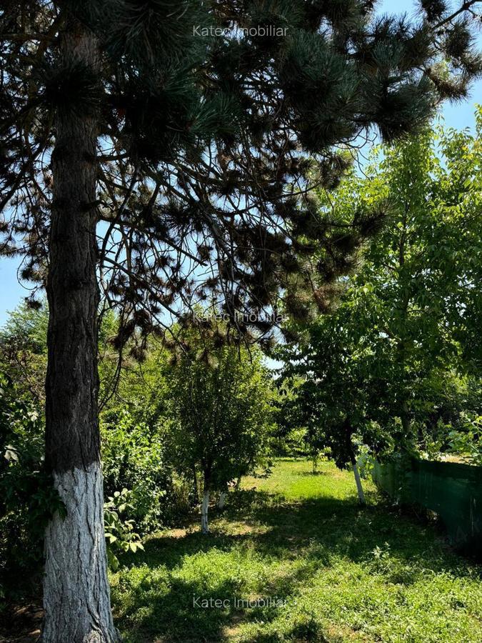 Casa in Campina,zona centrala - 2