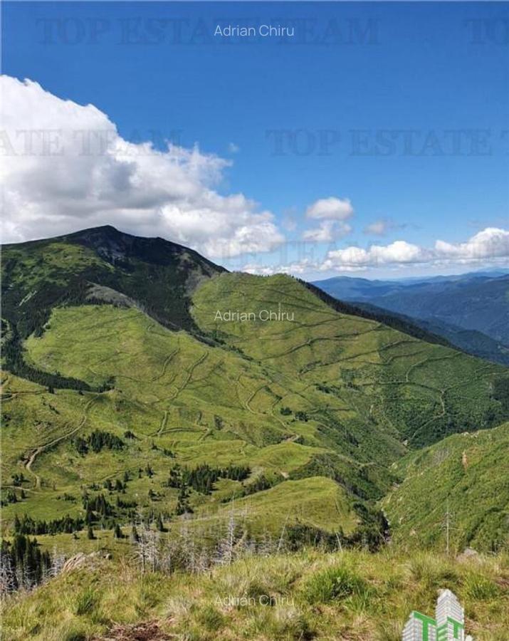 SUPER OPORTUNITATE, DE VANZARE O PROPRIETATE SPECIALA, MUNTE - 17