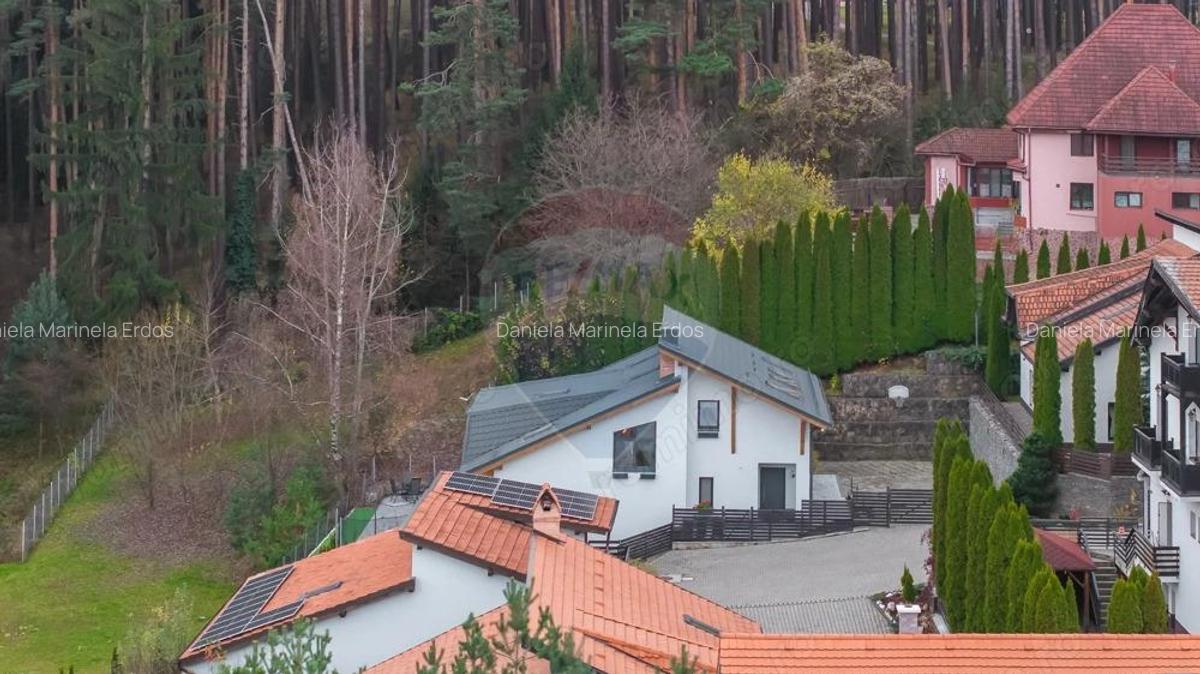 Vila moderna cu vedere spre padure Poiana Angelescu - 4