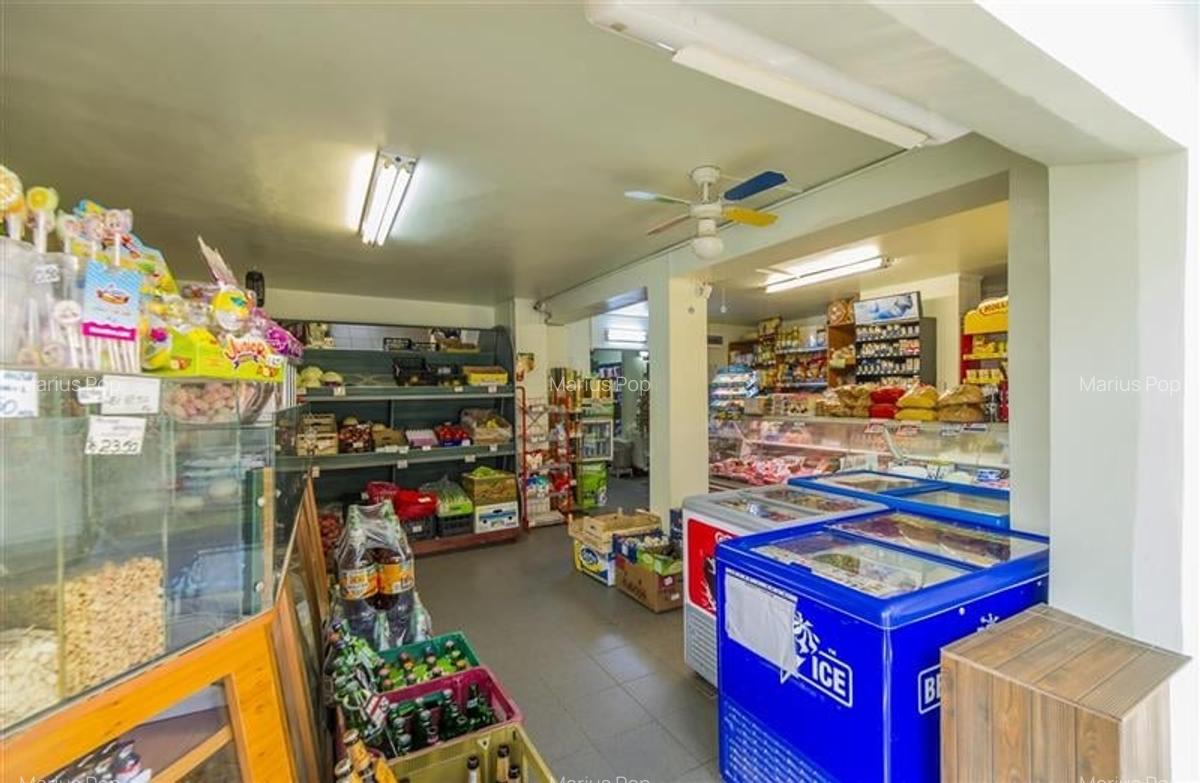Spațiu comercial, 101 mp în Noua - 9